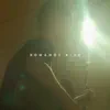 Romanos 8 28