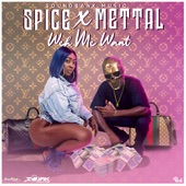 Weh Me Want (feat. Mettal) artwork