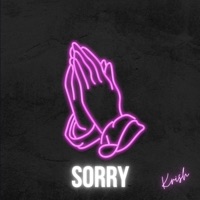 Sorry - Single - King Krish