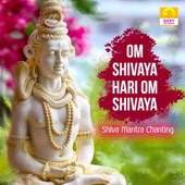 Om Shivaya Hari Om Shivaya (Shiva Mantra Chanting) artwork