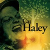 Survive Survive Cas Haley (Bonus Track Version)