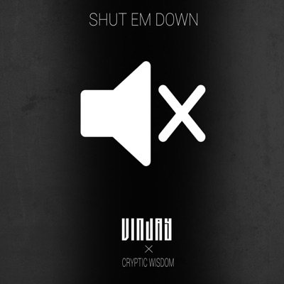 Shut Em Down - Single