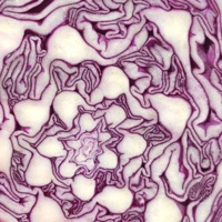 Interwoven - EP - Blossomn