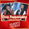 Dois Passarinhos (Acústico) - Single