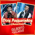 DOIS PASSARINHOS