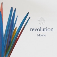 Revolution (feat. Nessi Gomes) - Single - Moshe Halperin