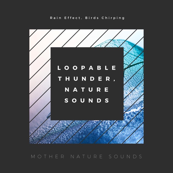 Loopable Thunder, Nature Sounds – Rain Effect, Birds Chirping, Underwater Sounds with Dolphins