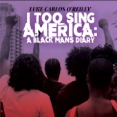 I Too Sing America: A Black Mans Diary