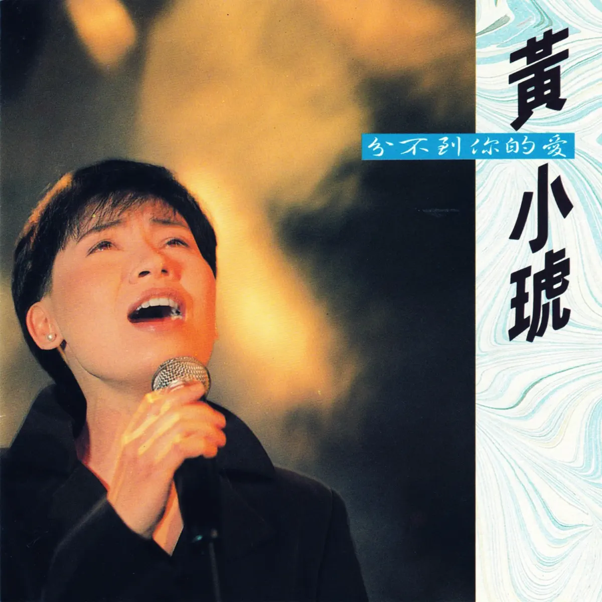 黃小琥 - 分不到你的愛 (1992) [iTunes Plus AAC M4A]-新房子