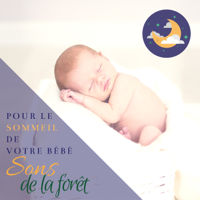 Leonie Libre - Sons de la forêt pour le sommeil de votre bébé: vent, grillons, oiseaux et bruit de l'eau artwork