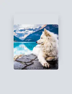 Ascolta Calm Pets Music Academy, guarda video musicali, leggi la biografia, vedi le date del tour & altro!