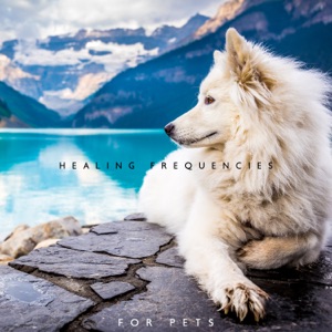 Healing Frequencies for Pets: Hz Music Therapy, Relaxation for Dogs, Anti Stress and Anxiety Sounds