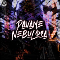 Nebulosa - Single - PAVANE