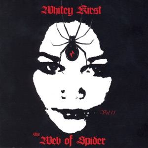 The Web of Spider, Vol. 11