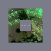 I Held You So Close I Forgot the World