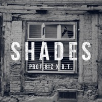 Shades (feat. Justcallmedt) - Single - Prof. Biz