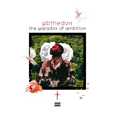 The Paradox of Ambition