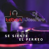 Se Siente el Perreo (feat. Dj José Flow) artwork