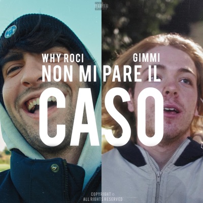 Non mi pare il caso (feat. Gimmi) - Single