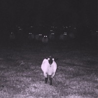 Itg.Exe (feat. Nosaint, Kuzz & JULES) - Single - Demew, Godo & Young Mirko