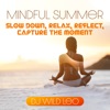 Mindful Summer: Slow Down, Relax, Reflect, Capture the Moment