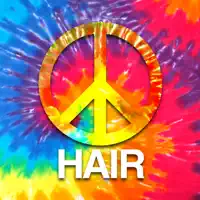 Hair — Hair cast
