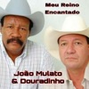 Meu Reino Encantado - Single