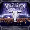 Hey Stoopid (Live At Wacken 2013)