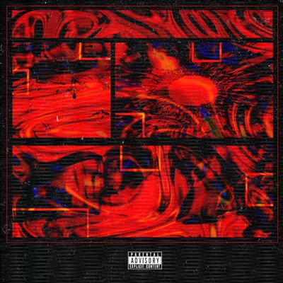 Cases - Single