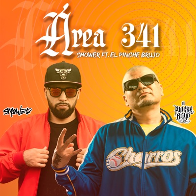Área 341 (feat. El Pinche Brujo) - Single