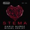 Stema - DARIO NUÑEZ & MISAEL DEEJAY lyrics