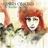 Camera Obscura - Honey in the Sun