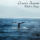 Whale's Songs - Ocean's Sounds