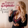 Popurrí de Despecho - Single