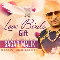 Tumhein Chahta hoon - Single - Sagar Malik