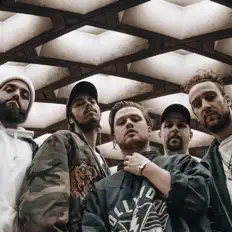 Listen to L'Amalgame, watch music videos, read bio, see tour dates & more!