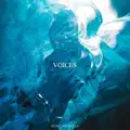 Voices