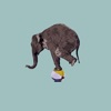 Elephants - Single