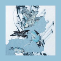 To Kill a Bird - Single - Unisoner