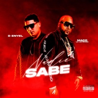 Nadie Sabe (Con D-Enyel) - Single - Maco la Leyenda