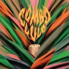 Combo Lulo - Hudsonica