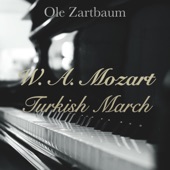 Mozart: Turkish March artwork