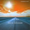 Open Road (feat. David Grissom) - Funkwrench Blues lyrics