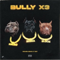 BullyX3 (feat. Young Dinero Banks & Blucie) - Single - Bubba G