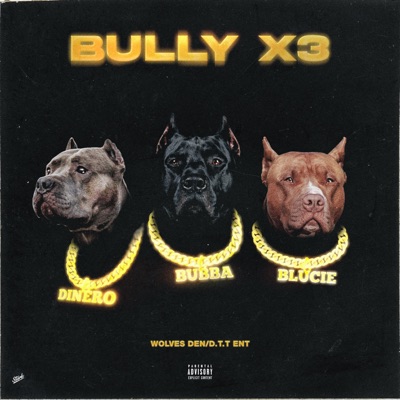 BullyX3 (feat. Young Dinero Banks & Blucie) - Single