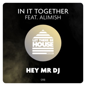 Hey Mr DJ - Single