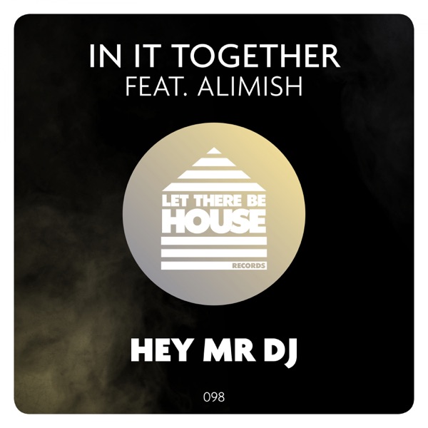 Hey Mr DJ - Single