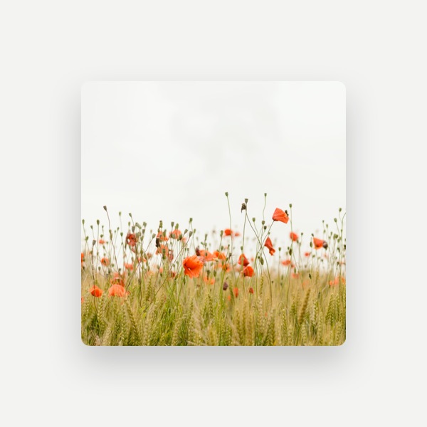 Música De Relajación Para Dormir Profundamente's avatar