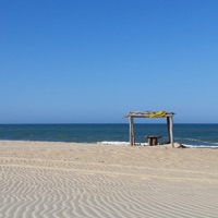 Mare - Single - Pukem