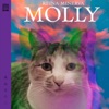 Molly - Single